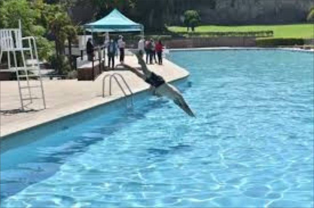  Desde parásitos hasta patógenos bacterianos, aquí te contamos qué más podría estar nadando en el agua